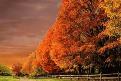 paisagens