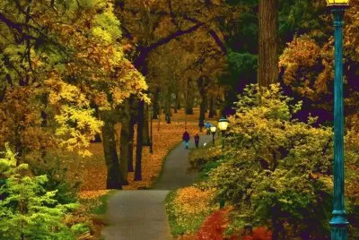 paisagens
