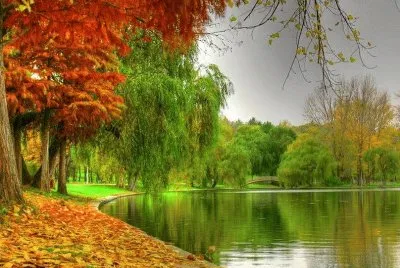 paisagens