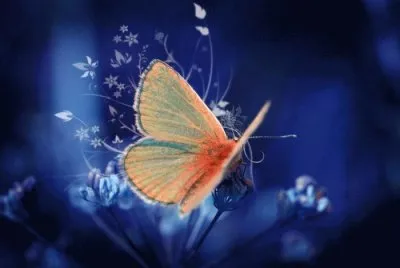 imagenes jigsaw puzzle