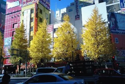 as  belesas  do  japÃ£o