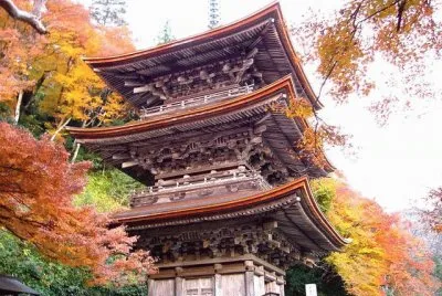 as  belesas  do  japÃ£o