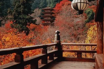 as  belesas  do  japÃ£o