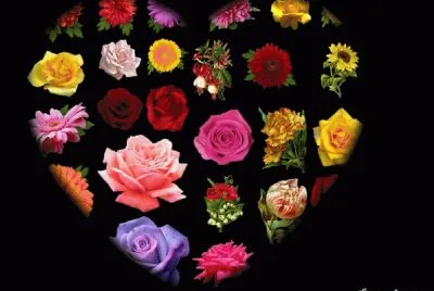 tbr65rzftgh jigsaw puzzle