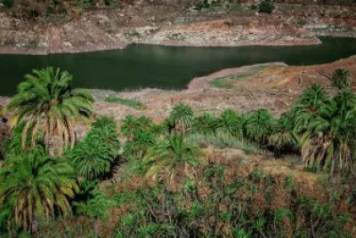 Barranco de Soria. Islas Canarias