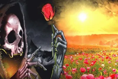 6r7tfgvbn 0pouikhjmnb
