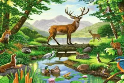 imagenes