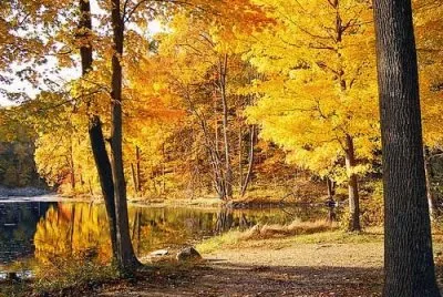 autunno jigsaw puzzle