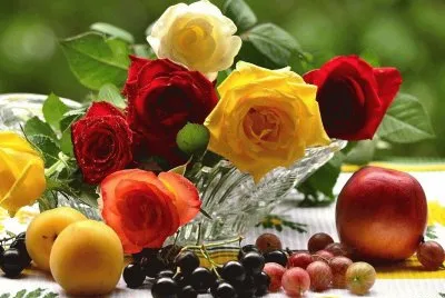 tr6tk t  t6t 6t  86t 6kk t