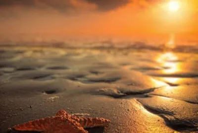 sol