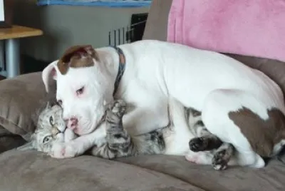 hay cariÃ±os que aplastan