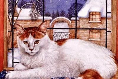 gato