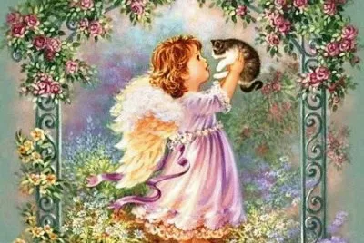 anjo