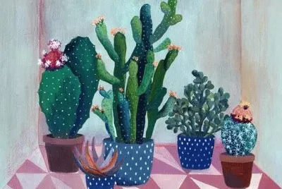 ss312