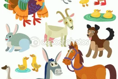 caballo
