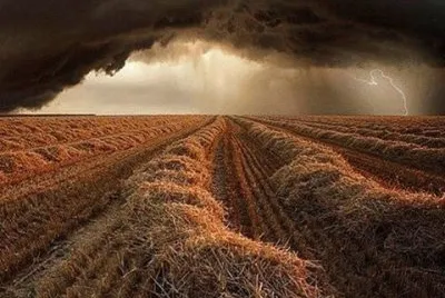 665