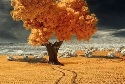 667 jigsaw puzzle