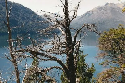 Lago Mascardi. Provincia de RÃ­o Negro. Argentina