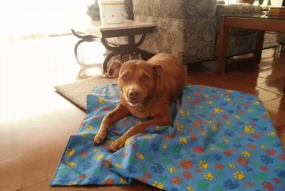 Tita