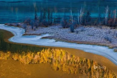 Bing image