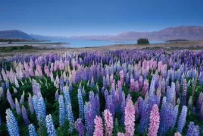 Natureza