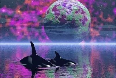 delfines