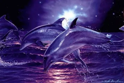 3d jigsaw puzzle