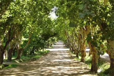 En ColÃ³n. Entre RÃ­os. Argentina