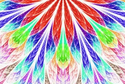 draw