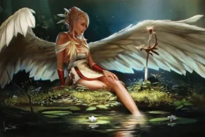 imagens