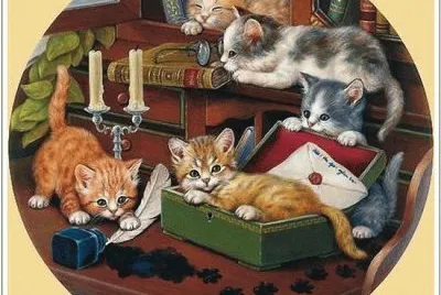 gatinhos