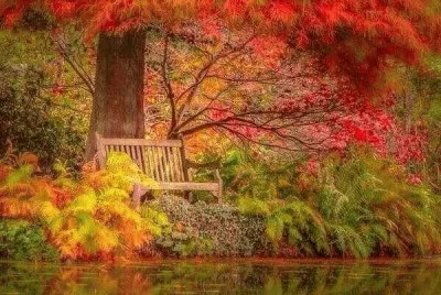 Color de otoÃ±o.