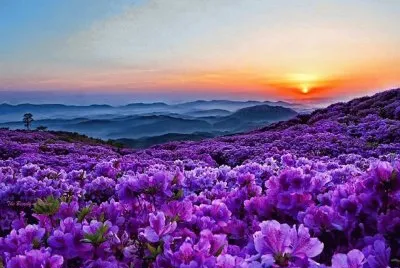 Natureza