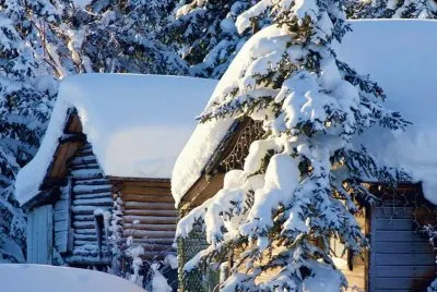 NEVE