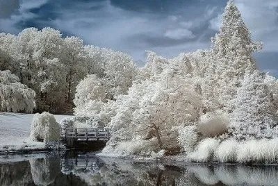 NEVE