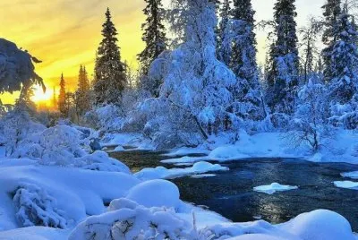 NEVE