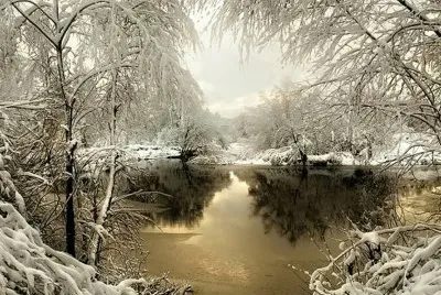 NEVE