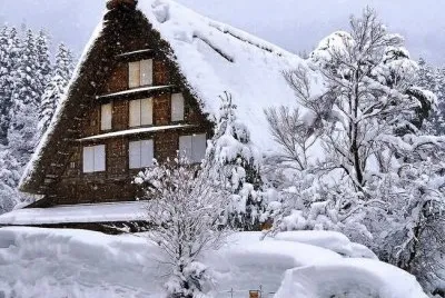 NEVE
