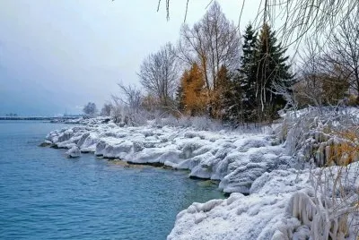 NEVE