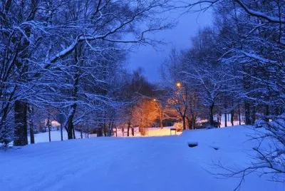 NEVE