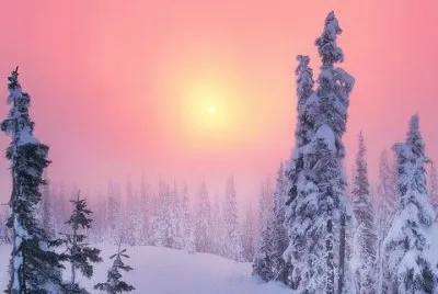 NEVE
