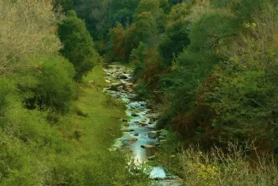 La Estancita. CÃ³rdoba. Argentina