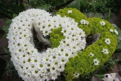 imagens  de  flores