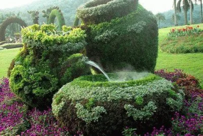 imagens  de  flores