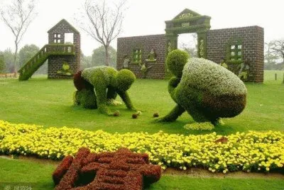 imagens  de  flores