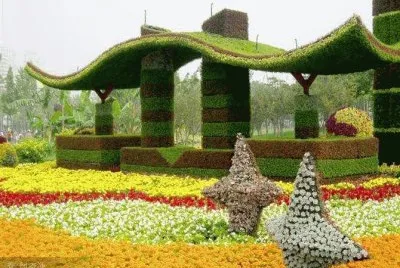 imagens  de  flores