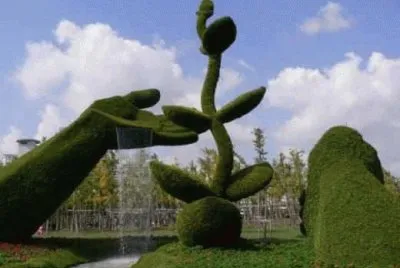 imagens  de  flores
