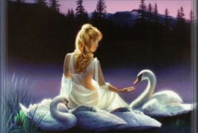 fantasia jigsaw puzzle