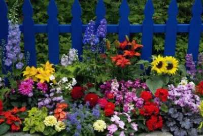 cerca azul jigsaw puzzle