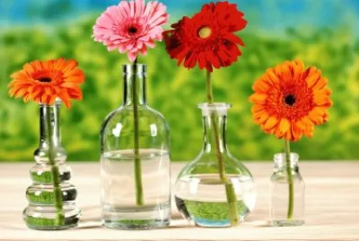 floreros jigsaw puzzle